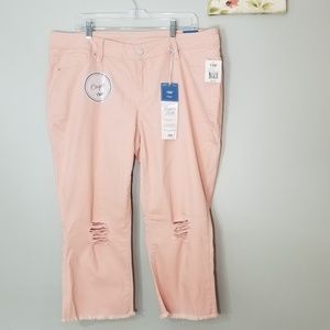 💝NWT! YMI Peach capri